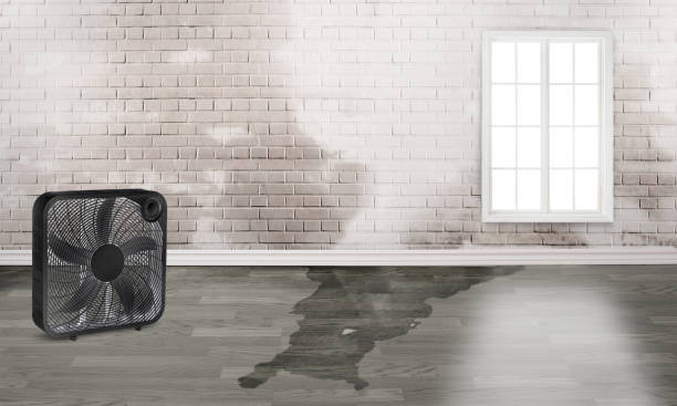 Best Fire Damage Restoration  in Unionville, GA