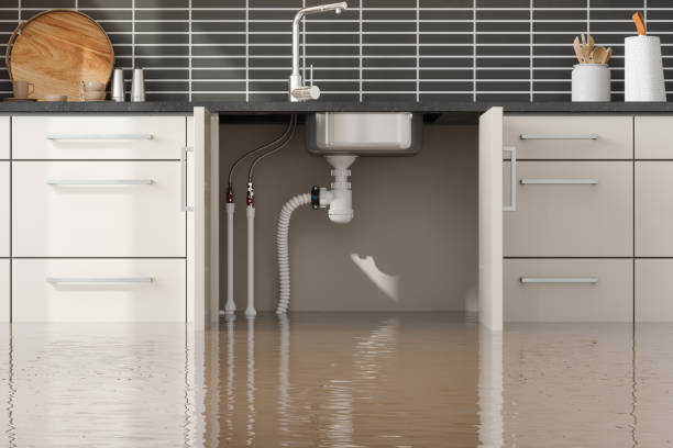 Best Basement water damage restoration  in Unionville, GA